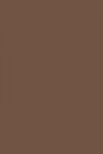 FARROW AND BALL LONDON CLAY NO. 244 PAINT